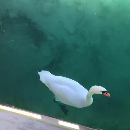 Auguste Pörtschach am Wörthersee