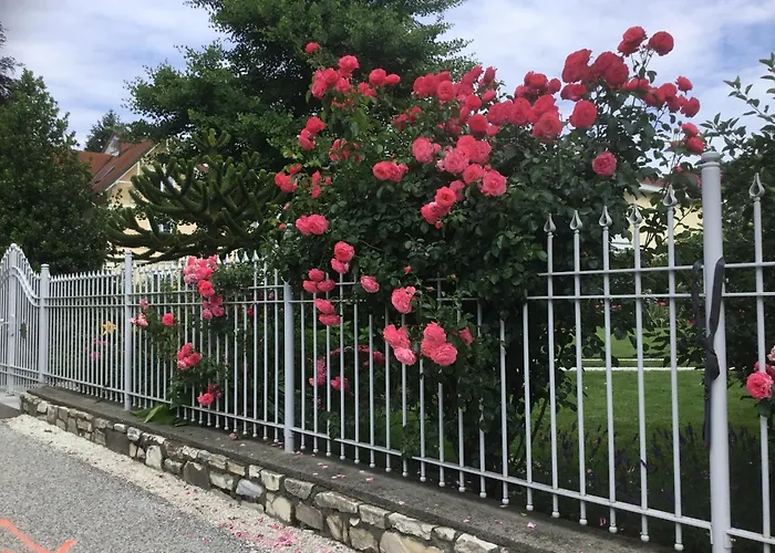 Ξενοδοχείο Auguste