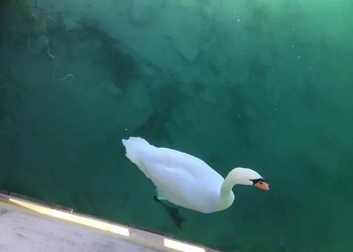 Auguste Portschach am Woerthersee